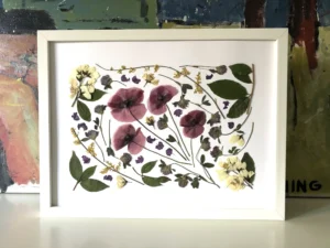 Amapola