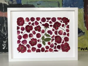 Rosas